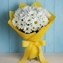 Букет цветов из:  Хризантемы в Тоцкое