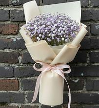Букет цветов из:  Гипсофила в Тоцкое
