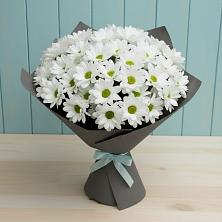 Букет цветов из:  Хризантемы в Тоцкое