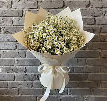 Букет цветов из:  Ромашки в Тоцкое