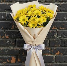 Букет цветов из:  Хризантемы в Тоцкое