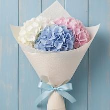 Букет цветов из:  Гортензия в Тоцкое