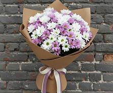 Букет цветов из:  Хризантемы в Тоцкое