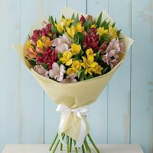 Букет цветов из:  Альстромерии в Тоцкое