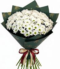 Букет цветов из:  Хризантемы в Тоцкое