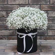 Цветочная композиция из Гипсофила в шляпной коробке в Тоцкое