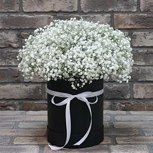Цветочная композиция из Гипсофила в шляпной коробке в Тоцкое