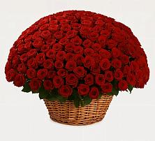 Премиум букет из: Розы в Тоцкое