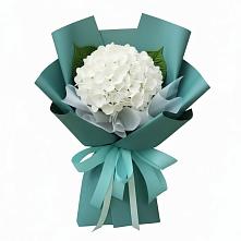 Букет цветов из:  Гортензия в Тоцкое